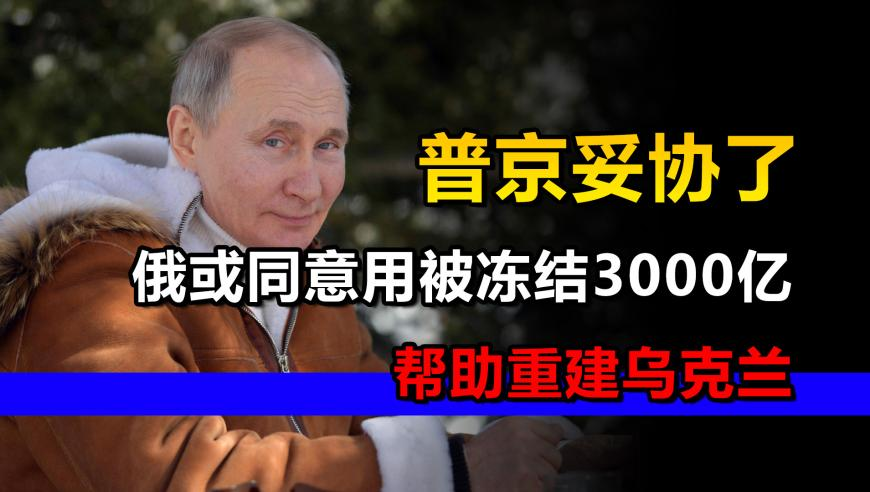中国女游客在斯里兰卡火车上探身坠落,新澳门内部资料精准大全网站,决策资料解释落实_至尊版V10.24