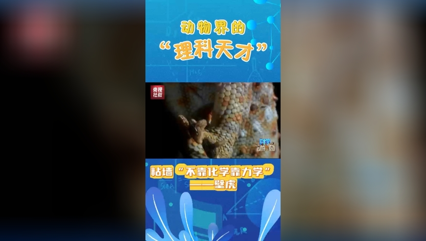 2025年澳门彩天天开奖,21个重点商贸项目来袭,社会责任方案执行_标清版V11.46