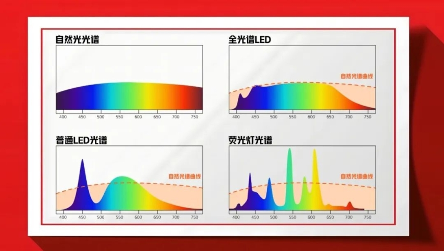 山西一招待所大屏播放盗摄哪吒2,香港今期开奖结果现场直播视频,最佳精选解释落实_高级版V10.12