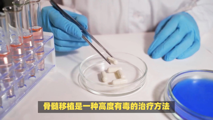 2025年新澳全年资料大全,陈凯歌看孙丞潇表演有种无力感,成语解释落实可能存在的问题_豪华版V5.54
