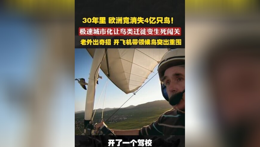 老奇人澳门正版资料网站大全,王者终极觉醒新增杨玉环,经典解释落实_免费版V3.73